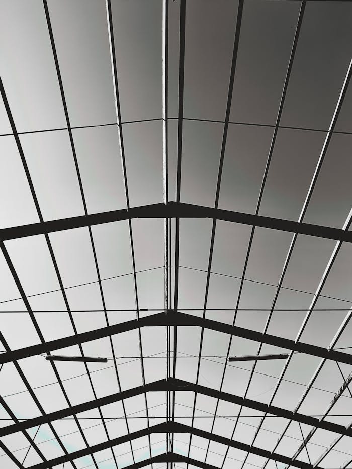 pexels-photo-34006096.jpeg